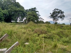 Terreno Palmares RGI 40000m2